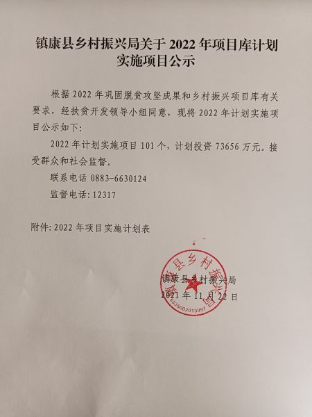 2022年项目计划