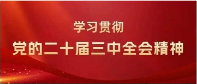县综合行政执法局 | 以“三学”模式推动学习贯彻党的二十届三中全会精神走“新”更走心